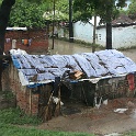 India & Nepal 2011 - 0696
